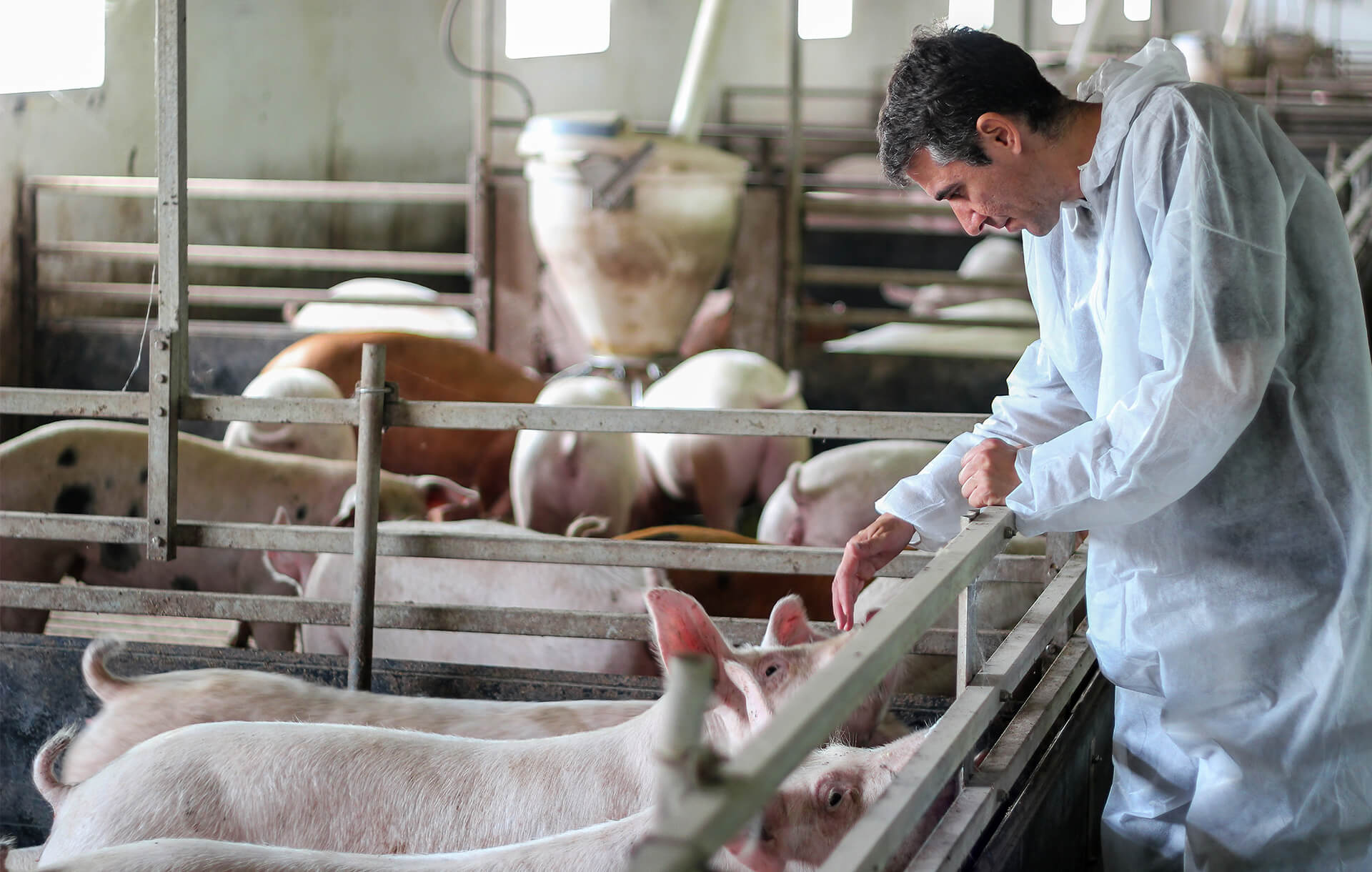 Agri Img2 1920X1220px