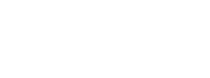 Network Icon White